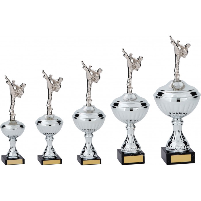MALE ROUNDHOUSE  KARATE METAL TROPHY  - AVAILABLE IN 5 SIZES
